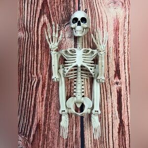 3FT tall Skeleton Decoration